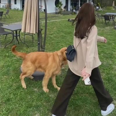 爱之花