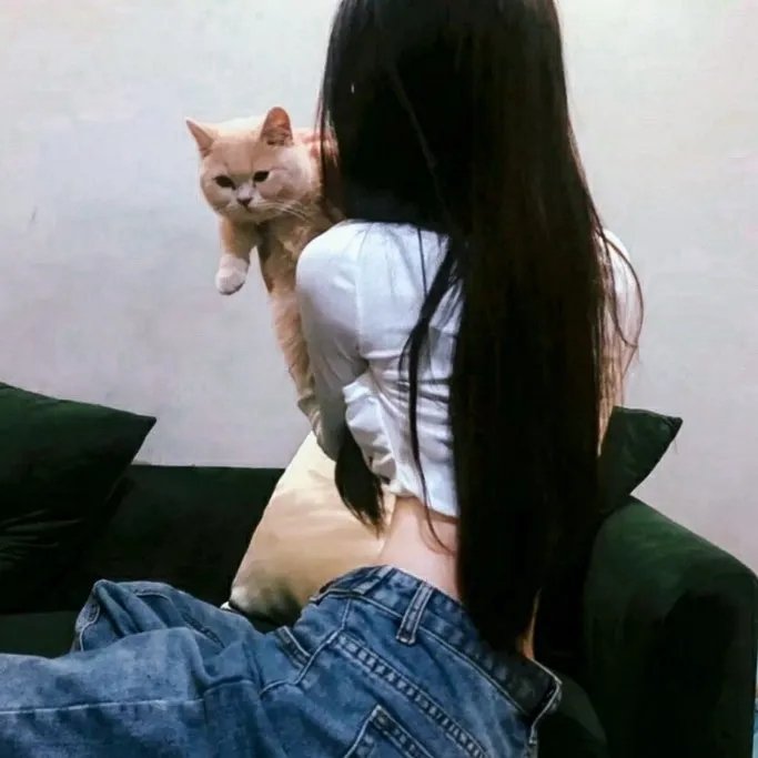 狐狸与我